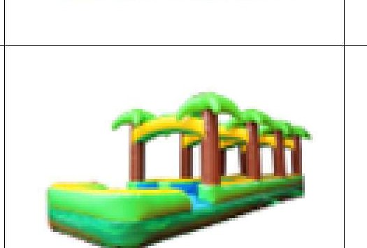 2 PKG 1 Tropical Slip Slide