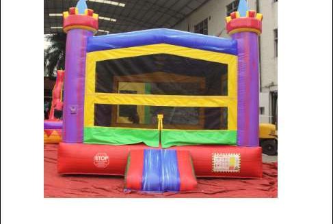 Purple Castle