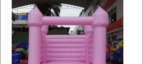 Wedding Castle-Pink